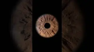 #iris #photography #art Eye Iris Art