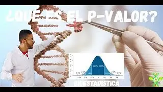 P VALUE WELL EXPLAINED [Easy and Quick]