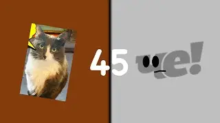 object tv mega voting 45