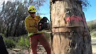 OCFA's Firefighter Academy 39 Highlight Video