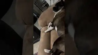 Nagising sya sa sarili nyang hilik 😂