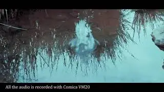 【Testing】Comica VM20 Sound Quality