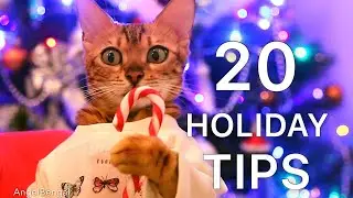 TRY NOT TO LAUGH - CAT CHRISTMAS EDITION 😄🎄