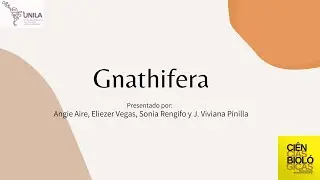 Gnathifera - Rotífera (ZOOLOGÍA)