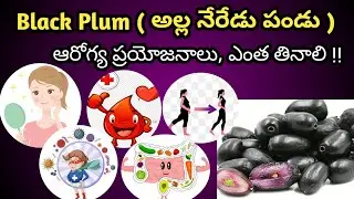 అల్లా నేరేడు పండ్లు ఆరోగ్య ప్రయోజనాలు |Health benefits of Black Plum Jamun in Telugu