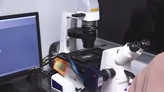 How to use ZEISS inverted microscope 