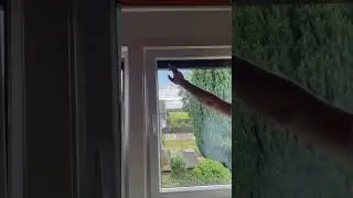 КУПИЛИ БЫ 🤔 ТАКОЙ ДОМ В ГЕРМАНИИ🇩🇪? Пишите в комментариях⏩ 