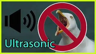 Sound to scare the seagulls Ultrasound for seagull