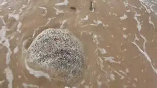 Балтийское море обалденно красивое!!!  г. ЗЕЛЕНОГРАДСК.