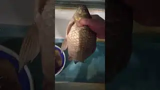 Первый трофей💪