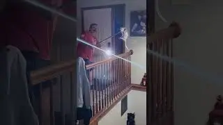 A rat snuck into the house!