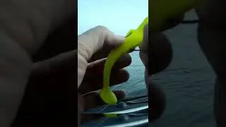 Как поймать Судака весной? 