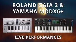Roland GAIA 2 + Yamaha MODX6+ | Moon Base Alpha + Momentary Glitch Live Performances