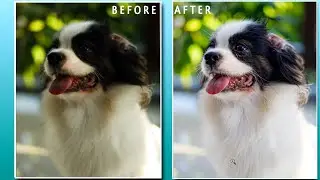 How to Clear Image Dark To Light || mTech genius || Adobe Photoshop EditingTutroria[EditingTutrorial