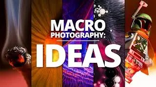 TOP 5 Macro Photography Ideas for 2022
