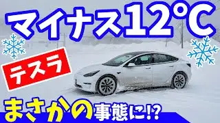 【テスラ】マイナス12度　ヤバイ！どうなる？｜真冬の雪の中
