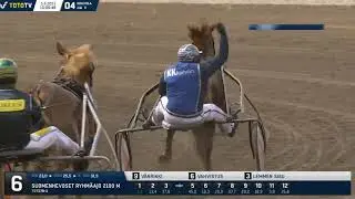 Pikkuprinssi 2023 - Vänrikki