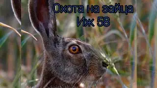 охота на зайца 2022.(hunting) норма выполнена. 2 зайца на двоих