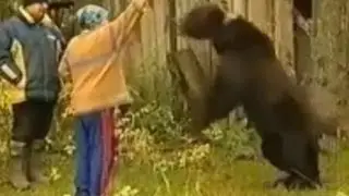 Stupid female idea with angry bear