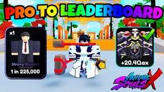 I Went *PRO TO LEADERBOARDS* In Anime Souls X!! (Part 1)