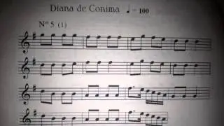 Tutorial sikuri Diana de Conima N°5 (1) p.392 - Catálogo - Virgilio Palacios Ortega