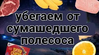 убегаем от сумашедшего полесоса