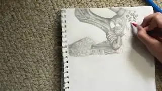 Greetings (Complete Sea Emperor Speed Draw) [Subnautica]