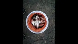 Рыбалка на Петровическом водохранилище (лето 2019)