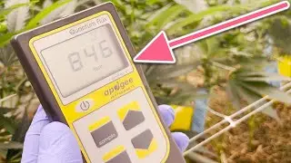 How to measure light intensity - (PPFD Ratings)
