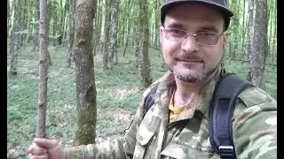 Путешествие натуралиста. Май.