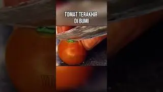 TOMAT TERAKHIR