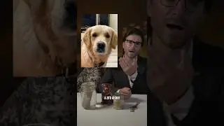 ❗️Максимальный репост. Что думаете?