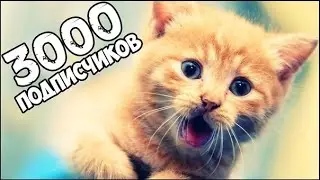 3000 подписчиков. Анонсы. Техника на канале.