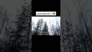 Coisas estranhas filmadas nas florestas...😱😳#shorts#florestas#assustador#curiosidades#viral