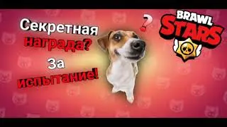 САМОЕ ТРУДНОЕ ИСПЫТАНИЕ в Бравл Старс!!!😱😱😱 Пройдём или Сольём?🤔🤔🤔