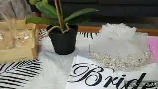 MEGA'S BRIDAL SHOWER || 