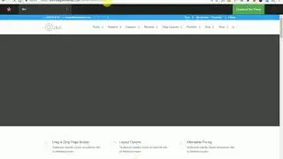 divi theme issue