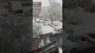 1 снег в моем городе!! (осенью)🍁 ❄️