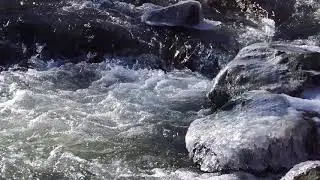 Etobicoke Creek