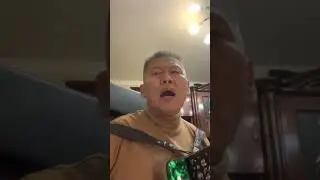 Кантри музыка. Гармонь на поляне. Шёл казак на побывку домой...