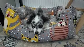 Мы Построили 5 СЕКРЕТНЫХ КОМНАТ, Которые Невозможно Найти !