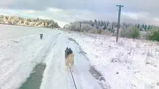 Доброе утро!