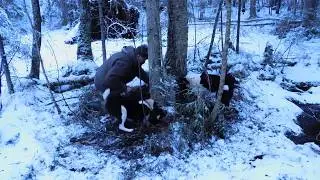 С лайками на норку и куницу 1 января 2020