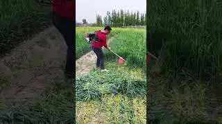 إختراع أداة لحش النباتات