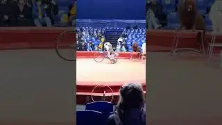 4 августа 2024 г.