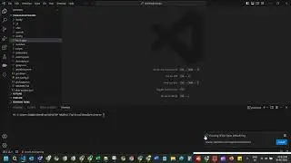 Open Default Org in VSCODE 