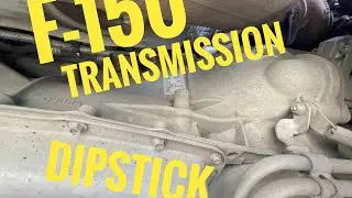 F150 transmission dipstick location