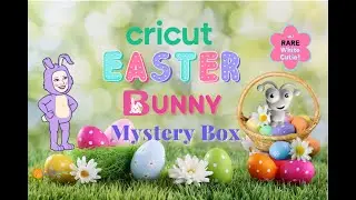 NEW Cricut Easter Bunny Mystery Box w/ RARE Cutie