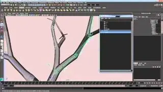 Tree Rigging Excercise