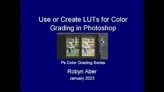 Use or Create LUTs for Color Grading in Photoshop